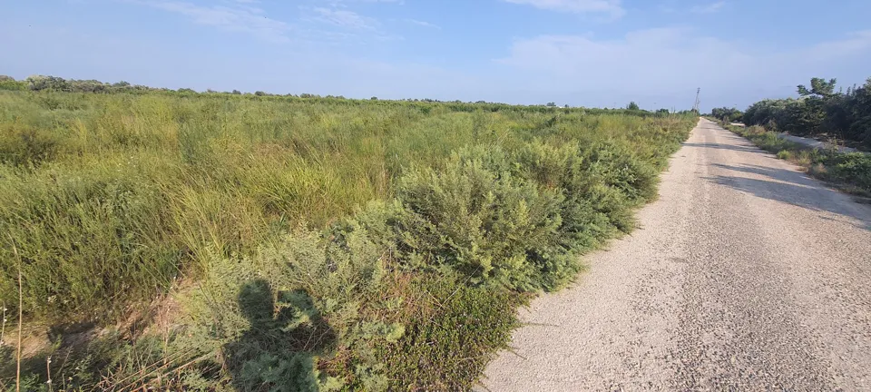 SİLİFKE’NİN VERİMLİ OVASI SÖKÜN KÖYÜNDE 14.400 M2 SATILIK TARLA